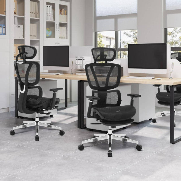 Ergonomic Office Chair Pro